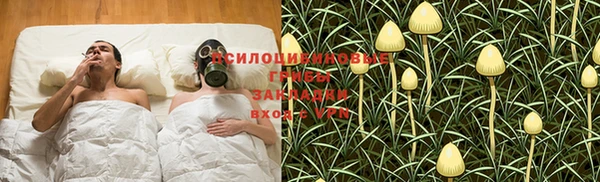альфа пвп Бородино
