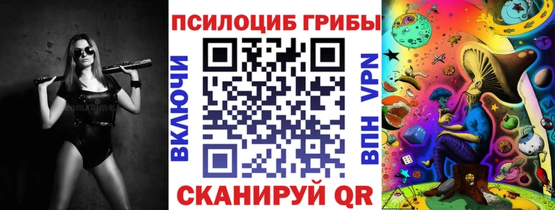 Псилоцибиновые грибы Cubensis  Пятигорск 